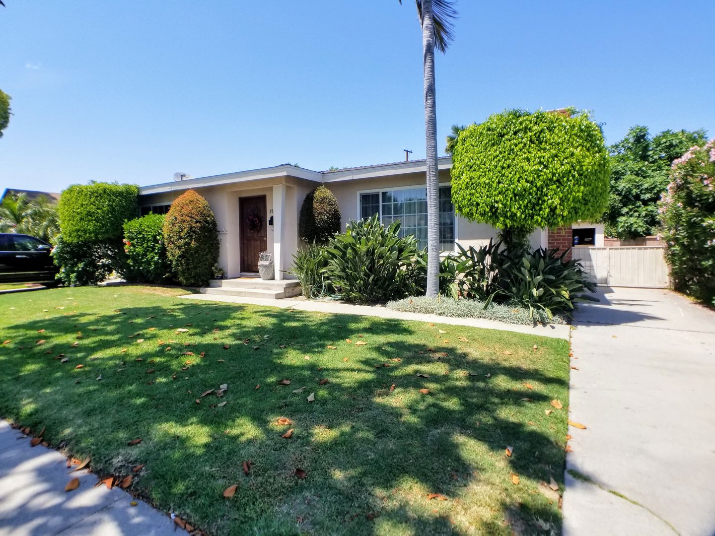 New Listing Alert For 6/08/20